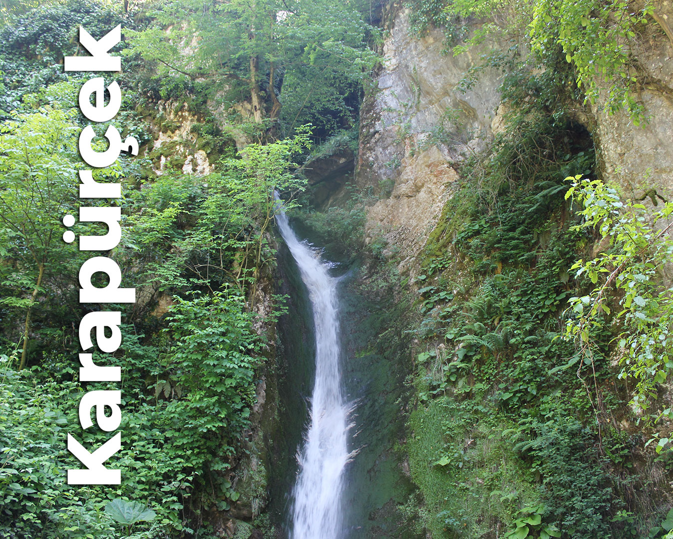 Karapürçek